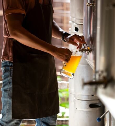 proceso elaboración cerveza