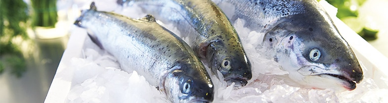 ventajas del pescado congelado