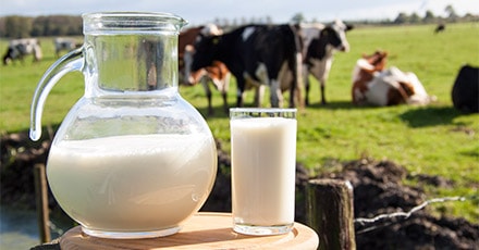 Leche ecológica