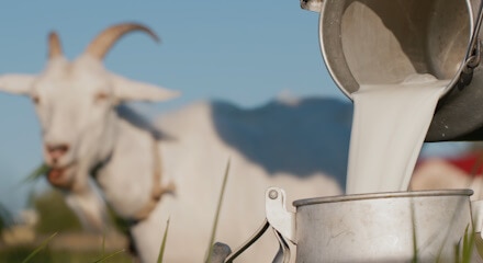 Leche de cabra Makro
