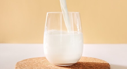 Leche desnatada Makro