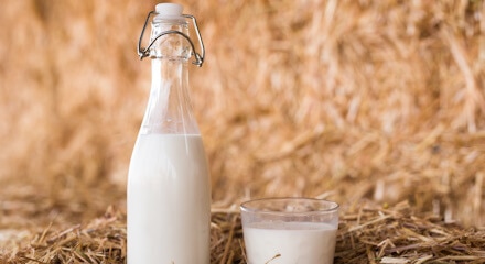 Leche de oveja Makro