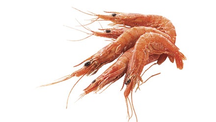 langostinos gambas