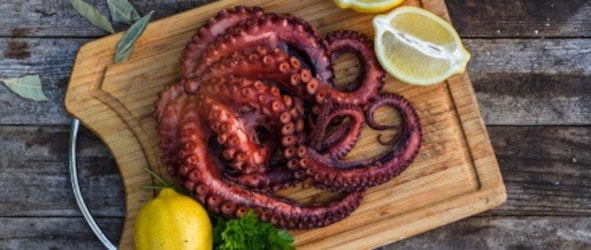 Pulpo Makro