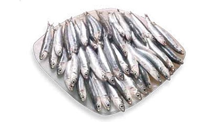 Boquerones de Makro para hostelería