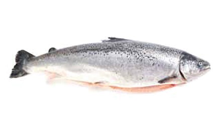 Salmón de Makro para hostelería