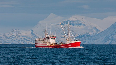 Pesca sostenible de bacalo en tiendas Makro
