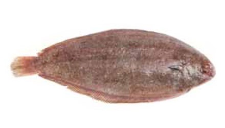 Lenguado para hostelería de Makro
