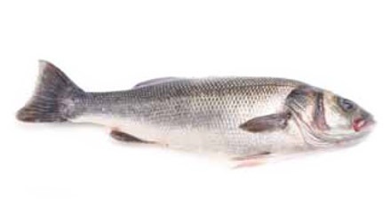 Lubina para hostelería de Makro