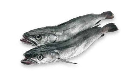 Merluza para hostelería de Makro