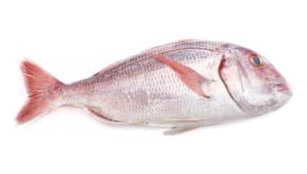 Pescados blancos para hostelería de Makro