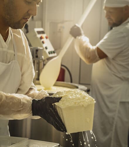 Proceso de elaboración de un queso