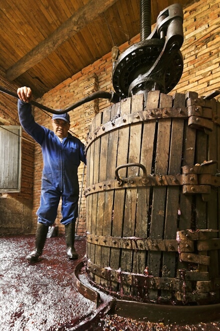 Proceso y elaboración del vino