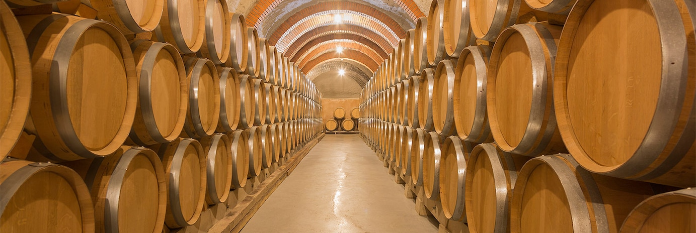 Vinos D.O. Ribera de Duero de Makro