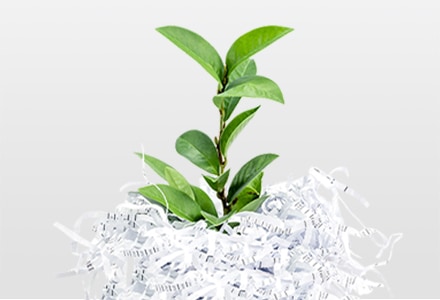 cuida el medio ambiente con la factura verde