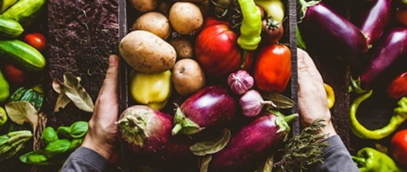 Verduras Makro