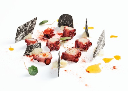 Pulpo