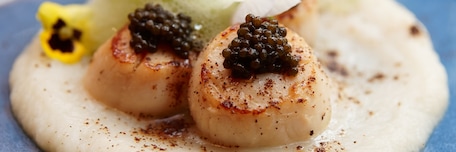 Pétoncles grillés, caviar et moléculaire mousse