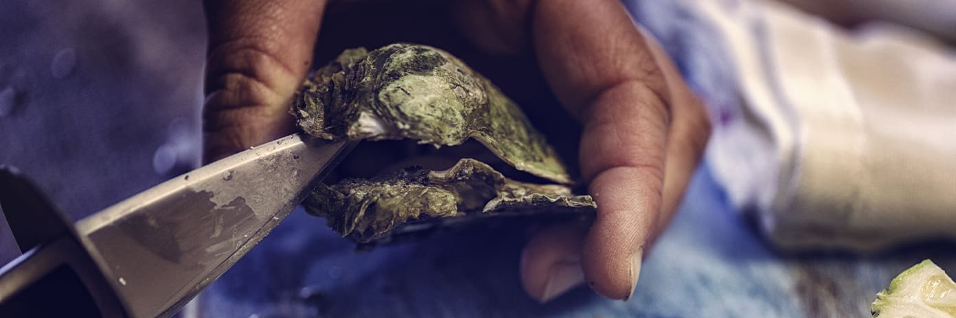 Ouverture d’huîtres fraîches avec un couteau à huîtres