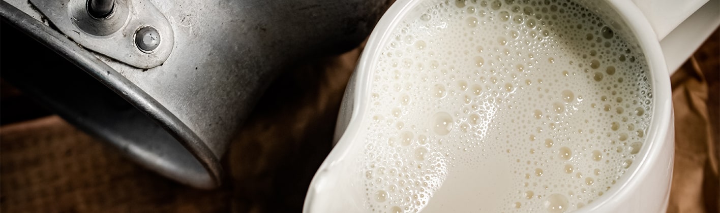 Carafe de lait de vache