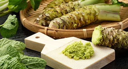 Plante et pâte de wasabi