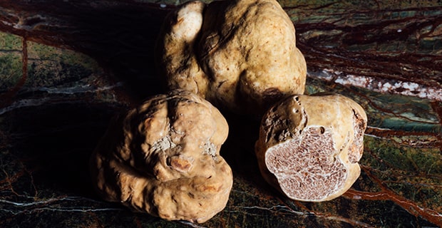 Truffes sur fond marbré