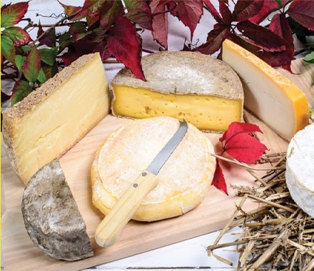 Plateau de fromages bio