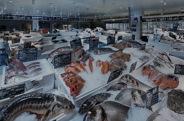 Rayon marée - METRO