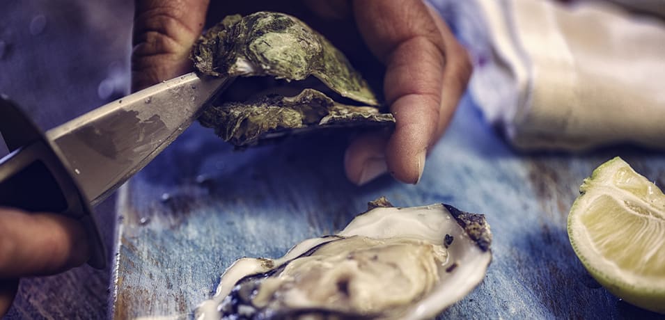 Ouverture d’huîtres fraîches avec un couteau à huîtres