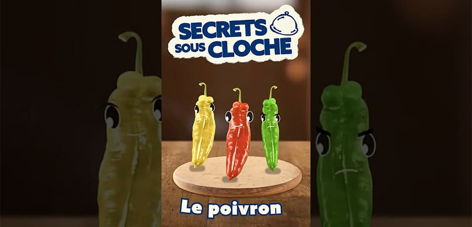 Vidéo Youtube - METRO - Le poivron : fruit ou légume ? Secrets et astuces de chef pour le cuisiner