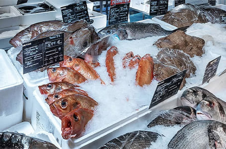 Rayon poissonnerie en halle METRO