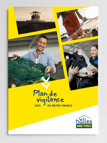 Plan de vigilance 2025 - METRO France