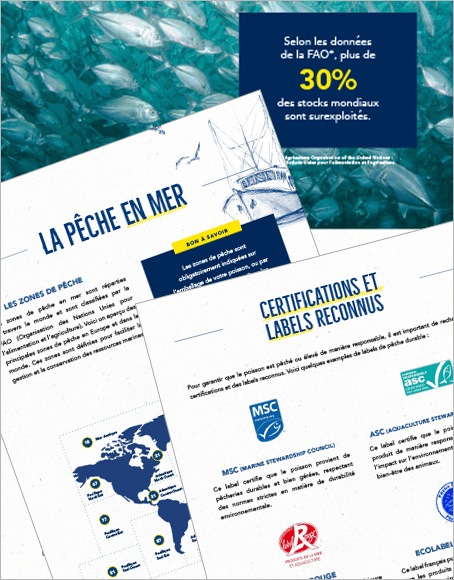 Pages du Guide METRO – La marée de demain