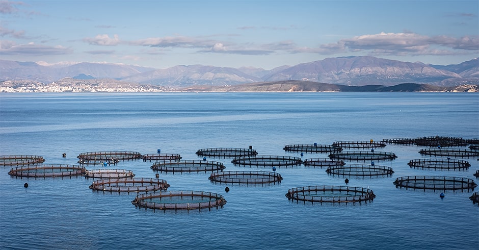 Parcs d’élevage de poisson dans la mer