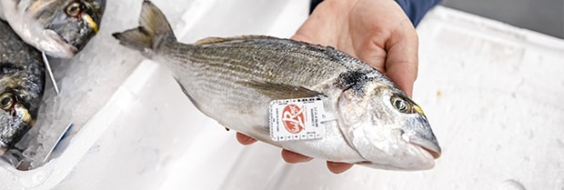 Poisson frais avec le « label rouge »