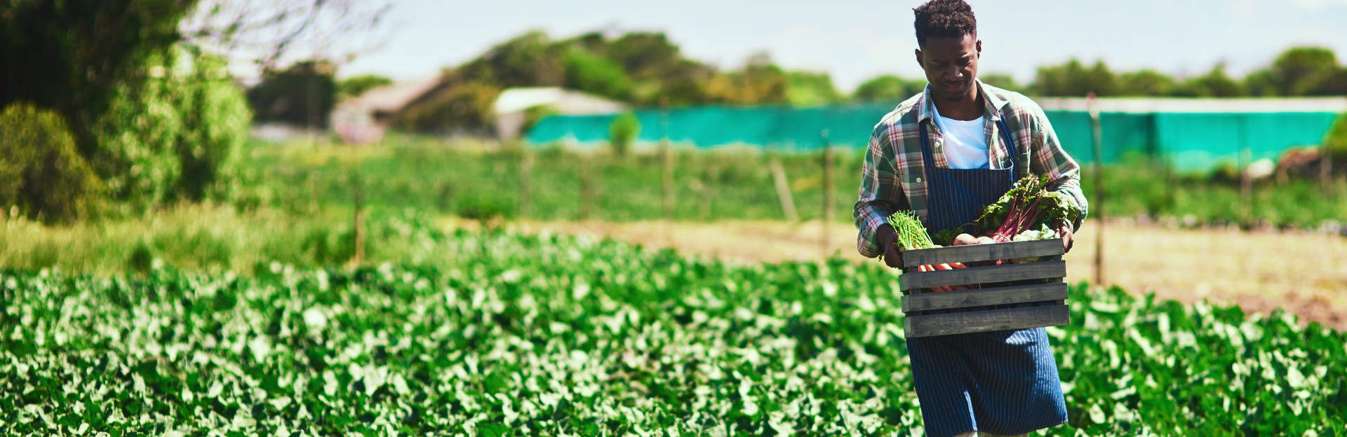 Comment devenir un restaurant durable ? 