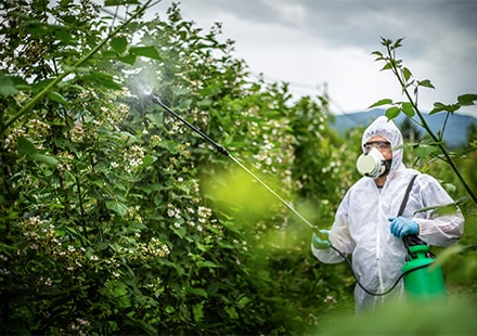 Les risques chimiques