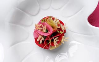 Recette de chef - Chocolat betteraves - Alexis Pocinho – 2026