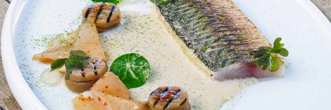 Recette de chef – Filet de maquereau en gravelax textures d’aubergine, velours d’amande – Christophe Bacquié