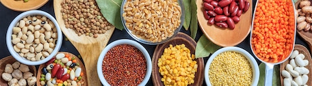 Assortiment de légumineuses