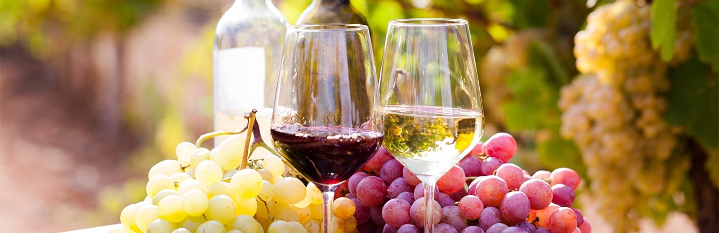 Restauration durable : optez pour les vins éco-responsables