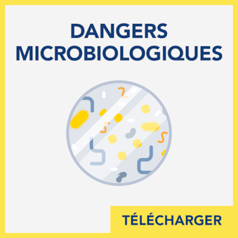 Fiche Pratique Hygiène METRO - Dangers microbiologiques