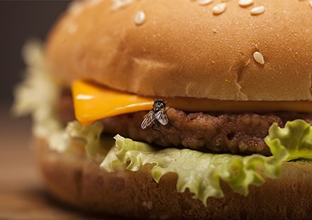 Les risques physiques