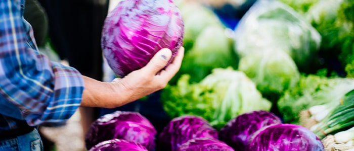 Choux rouge et choux fleurs