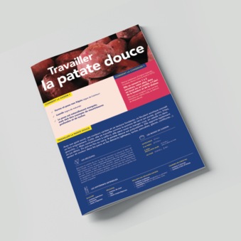 Fiche produit METRO - La patate douce
