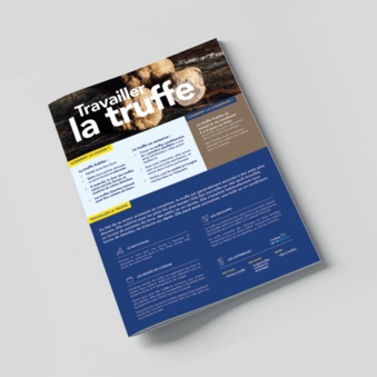 Fiche produit METRO - La truffe