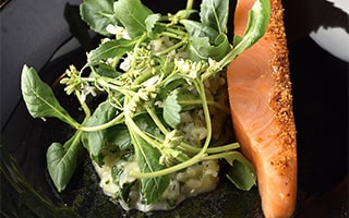 Recette de Chef - Risotto miso, comté, roquette et wasabi