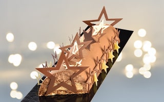 Recette de Chef - Bûche chocolat praliné amandes