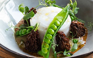 cabillaud petit pois morille