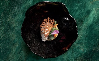 Recette de chef - Tourteau petit épeautre, salade d’herbes - Rodolphe Regnault